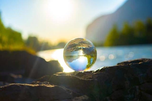 Les politiques vertes à travers le monde : comment les pays s'engagent pour l'environnement